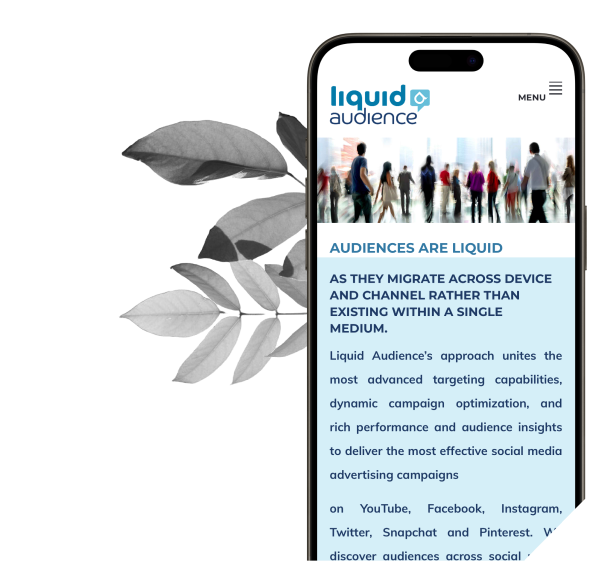 Liquid Audience
